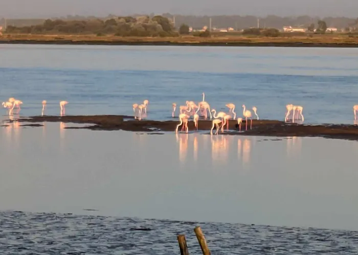 Casa E Ria 度假居