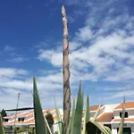 Σπίτι διακοπών Casa E Ria Torreira