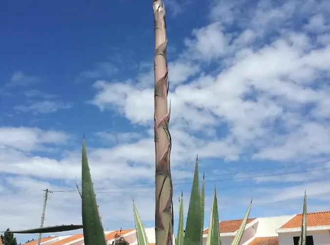 Holiday home Casa E Ria Torreira